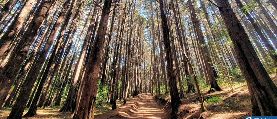 Parque Nacional Montecristo permanecerá cerrado debido a las lluvias