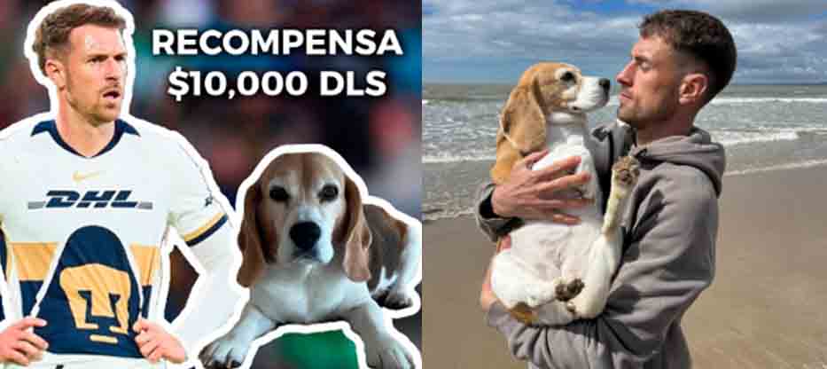 Aaron Ramsey deja Pumas tras desaparición de su perrita Halo