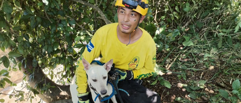 Rescatan un perrito que cayó al río en Aguilares