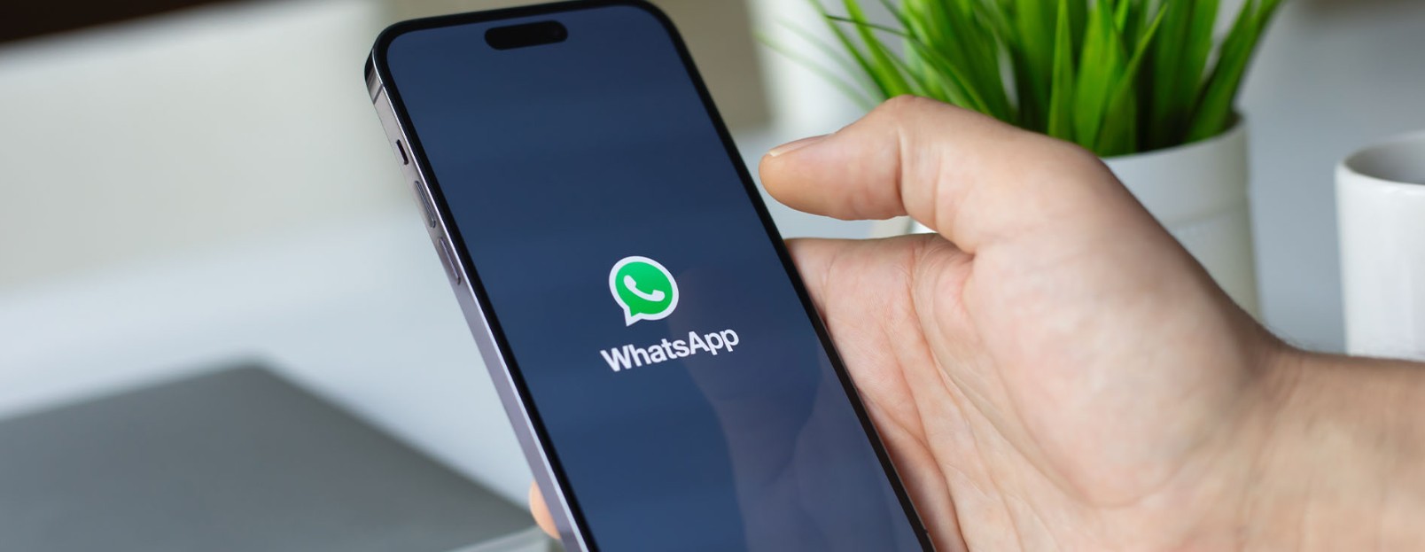 WhatsApp lanza 6 nuevas funciones: fotos en movimiento, fondos para videollamadas y más