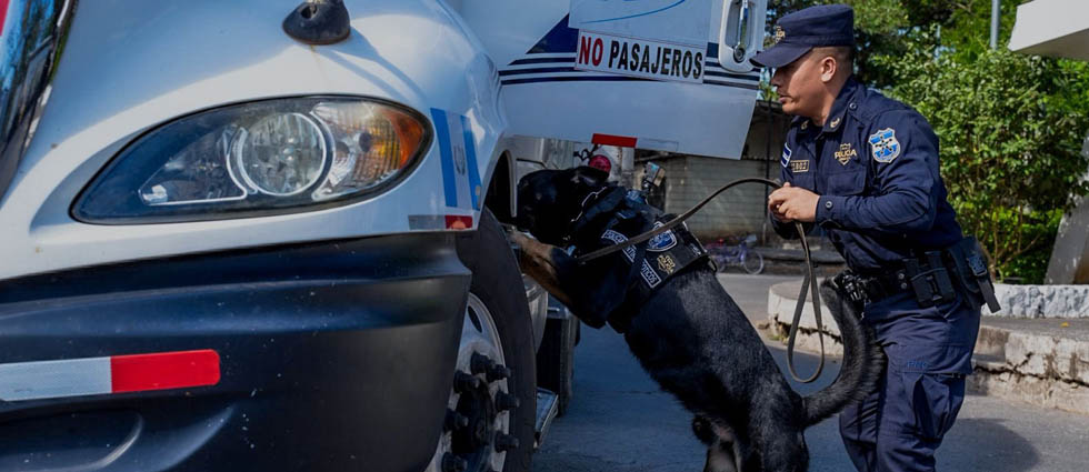 PNC trabaja con binomios caninos para evitar crímenes en las fronteras