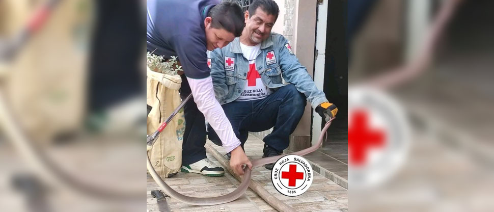 Auxilian a familia que encontró en su vivienda una culebra “zumbadora”