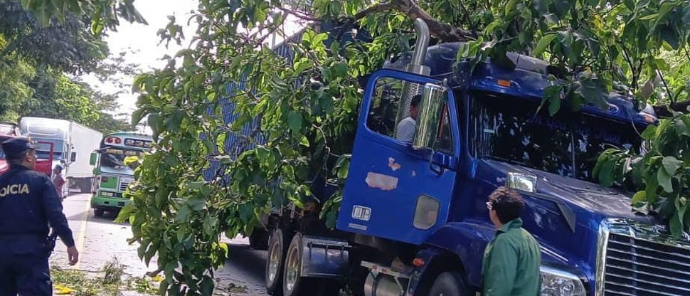 Árbol cae sobre una rastra en carretera a Metapán