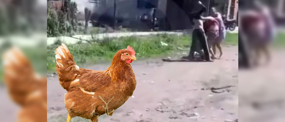 Insólito: pelea por una gallina termina con dos mujeres heridas
