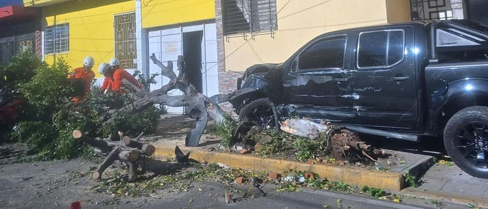 Conductor pierde el control del vehículo y choca contra un árbol en ciudad de San Vicente
