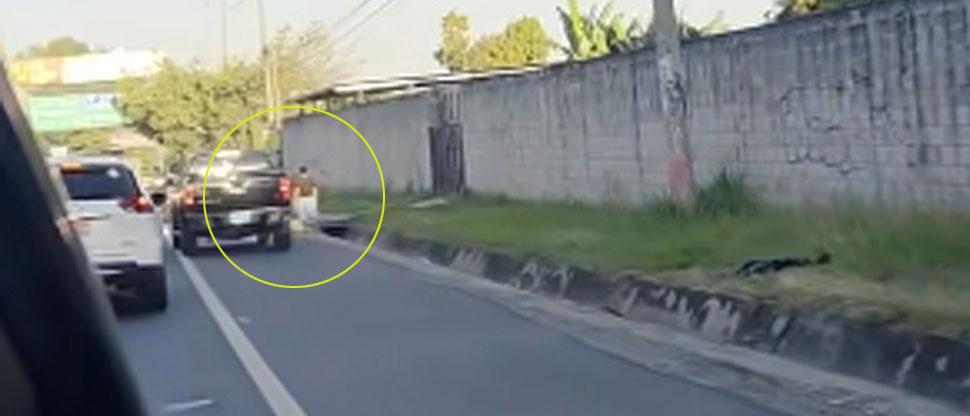 Denuncian a conductor irresponsable que casi atropella a mujer por evitar el tráfico