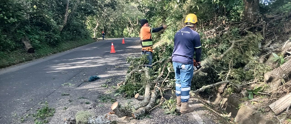 Realizan poda preventiva de ramas en carretera a Comasagua por fuertes vientos