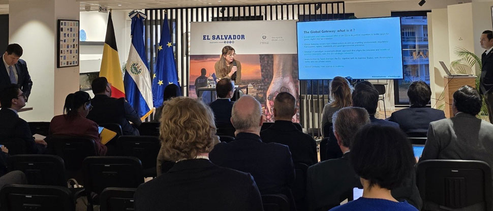 Foro económico El Salvador–Bélgica destaca oportunidades en energías renovables