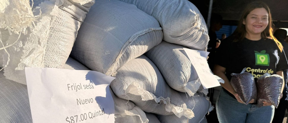 Ministerio de Agricultura pone a disposición dos puntos de ventas de frijol a precio justo