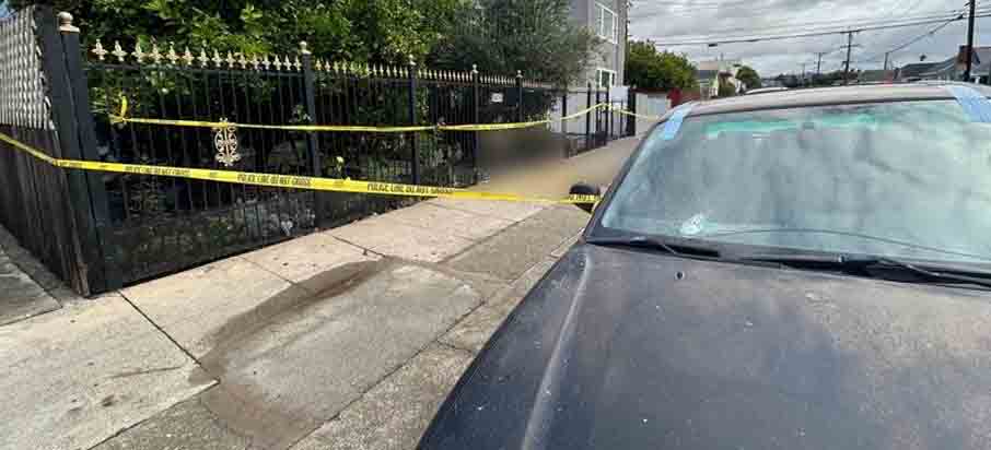 EEUU: le quitan la vida a un hombre a tiros en el barrio Richmore Village