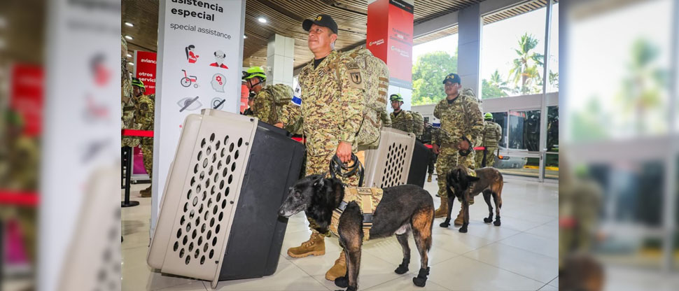 Los agentes K-9 serán importantes para el trabajo de los rescatistas en Jamaica
