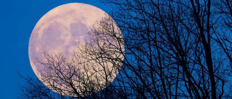 La superluna del “Castor” podrá ser visible la noche de este miércoles