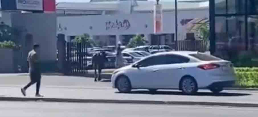 Vaca se viraliza en redes sociales por bloquear entrada de centro comercial en San Miguel