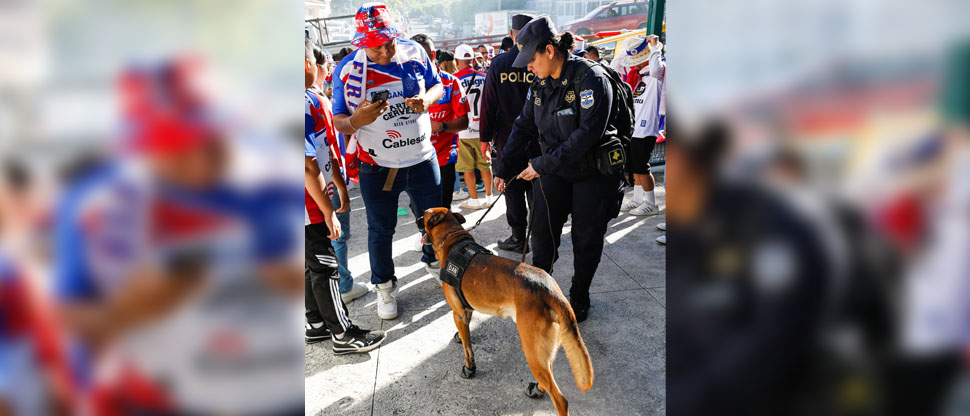 Unidad canina de la PNC se suma al dispositivo de seguridad previo a la final entre Alianza y Firpo