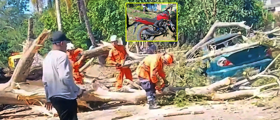 Dos lesionados tras caer árbol sobre vehículo y motocicleta en Tonacatepeque