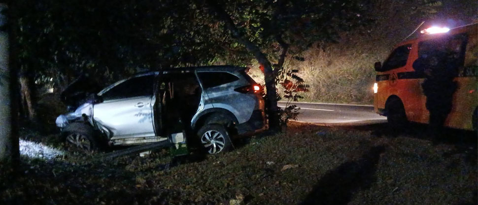 Conductor fallece tras brutal choque contra un árbol en la zona de American Park