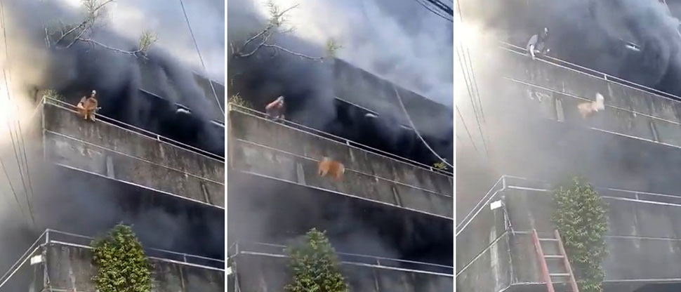 Mujer arriesga su vida para salvar a sus perros tras incendio en edificio de apartamentos en Filipinas