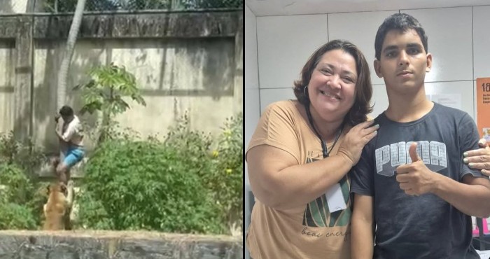 Leona no será sacrificada tras incidente en zoológico de Brasil