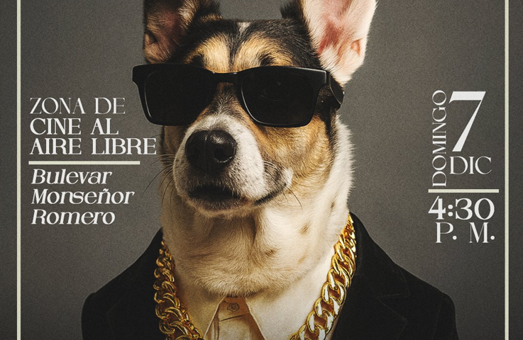 Se viene el Pet Fashion 2025 este fin de semana
