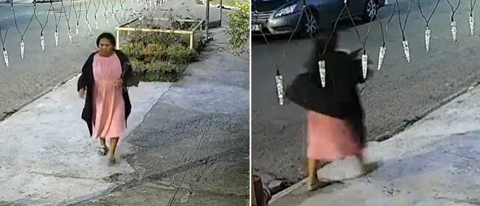 Denuncian a mujer por robarse las plantas de los jardines de vecinos