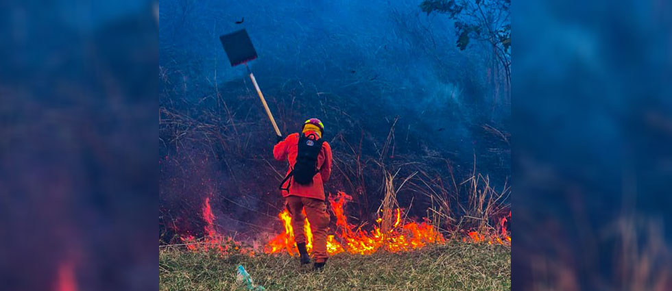 Sofocan incendio en terreno con abundante maleza seca sobre el bulevar Constitución
