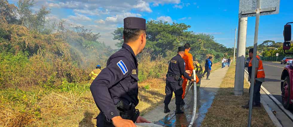 Bomberos sofocan incendio a un costado de la carretera Panamericana