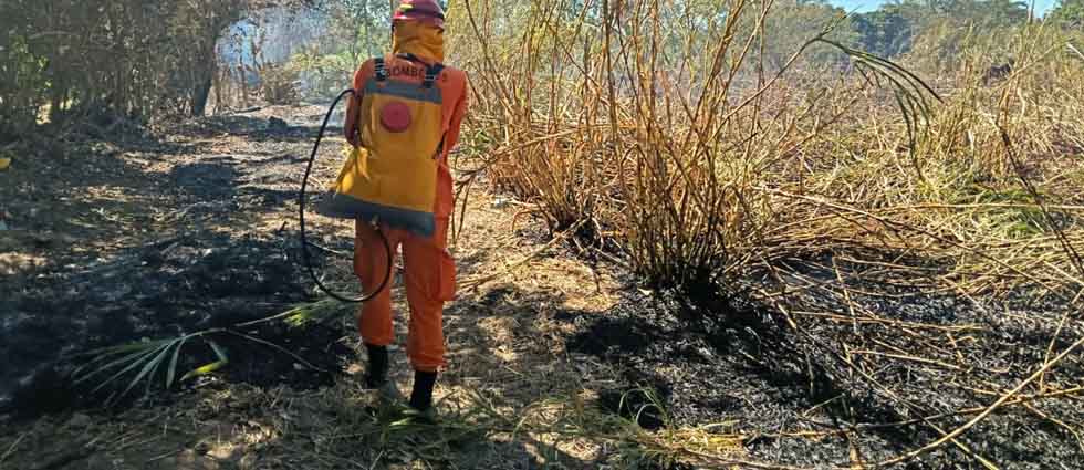 La Libertad: CBES sofoca incendio en maleza utilizando mochilas extintoras