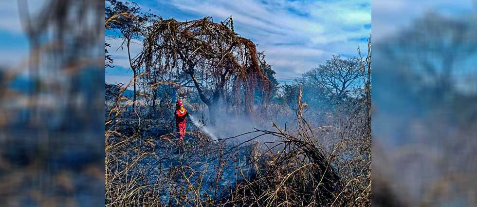 Bomberos siguen extinguiendo incendios en terrenos con abundante maleza seca