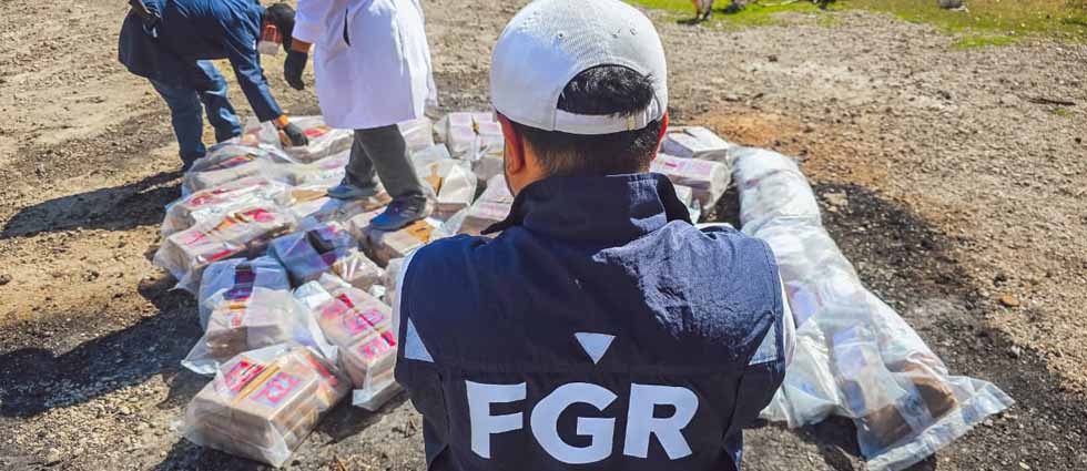 FGR incinera más de 11 millones de dólares en droga