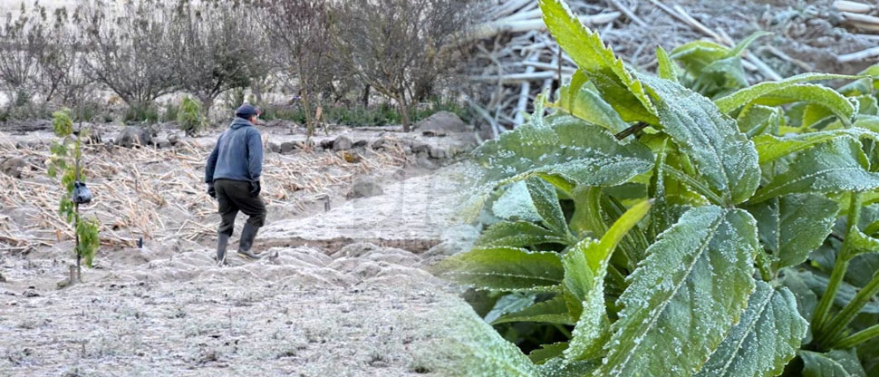 Ciudades de Guatemala amanecen congeladas tras registrar bajas temperaturas