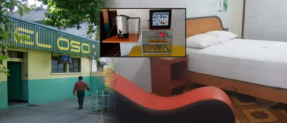 El Oso lanza promociones para satisfacer aún más a sus clientes este 14 de febrero