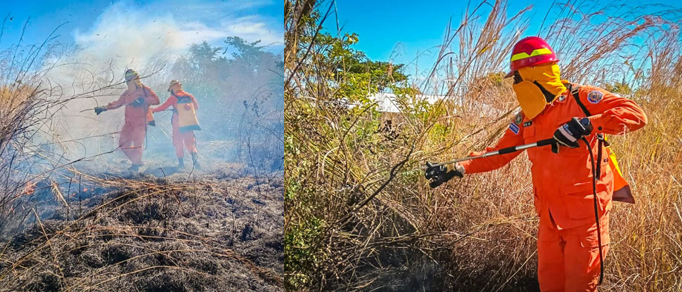 Bomberos controlan incendio de maleza seca en La unión