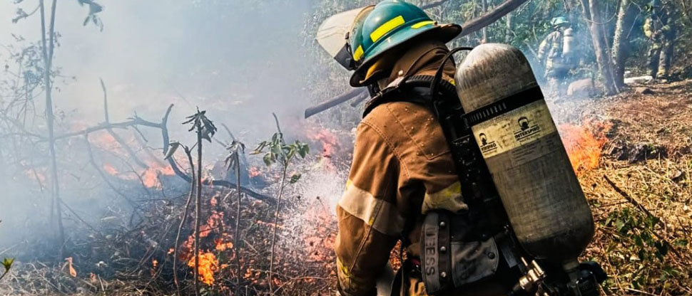 Bomberos sofoca incendio de maleza seca y desechos sólidos