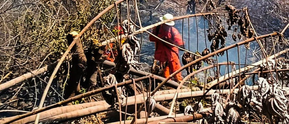 Bomberos extinguen incendio de maleza seca en La Libertad