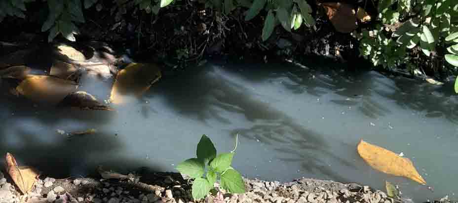 Fallece un bebé de un año tras ahogarse en un charco en La Paz