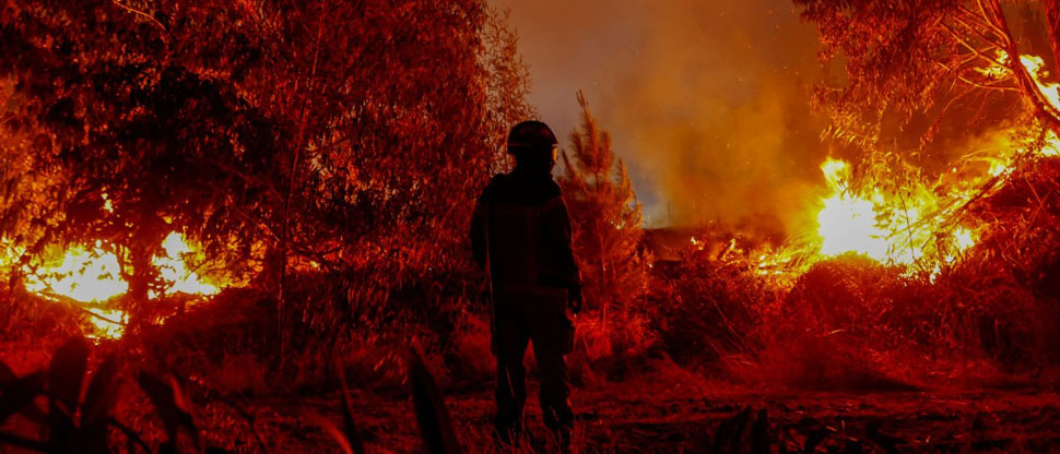 Chile: detienen a sospechoso de haber iniciado de manera intencional los incendios