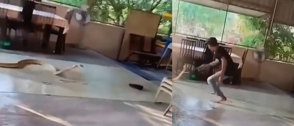 Malasia: hombre se enfrenta a una enorme Cobra que entró a su vivienda