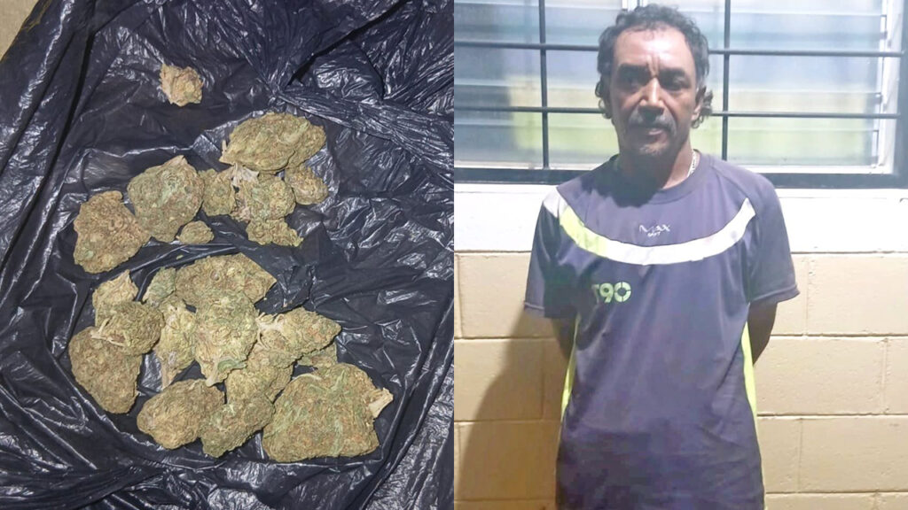 Capturan a sujeto con varias porciones de material vegetal en Santa Ana