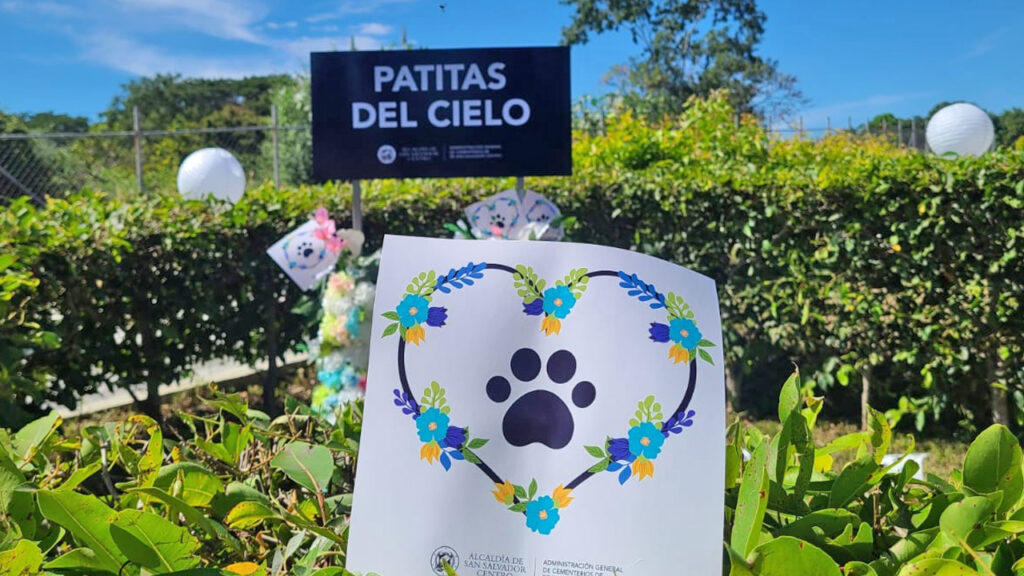 «Patitas del Cielo» ofrecerá sepultura gratuita para para animales en situación de calle