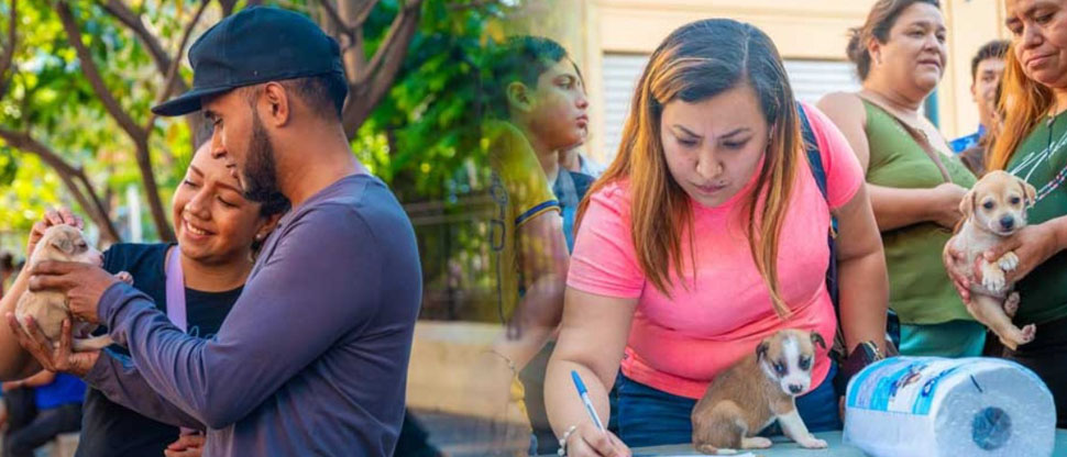 Alcaldía de San Salvador Centro, invita a los capitalinos a ser parte de la adopción de cachorros