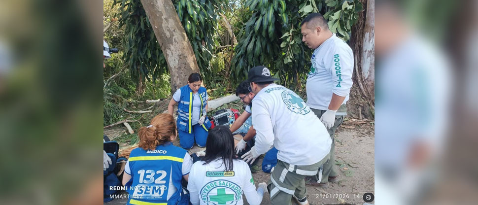 Hombre muere tras caerle una rama de un árbol en la cabeza