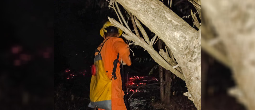 CBES extinguen incendio en predio con abundante maleza seca en San Miguel