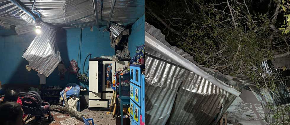 Sonsonate: vivienda sufre graves daños tras la caída de un árbol