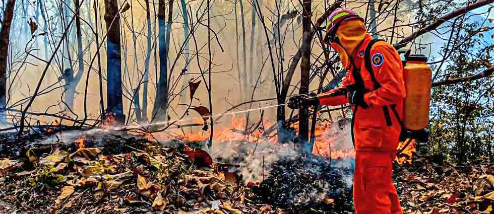 Con mochilas extintoras, Bomberos logran sofocar incendio en cantón de Chalatenango
