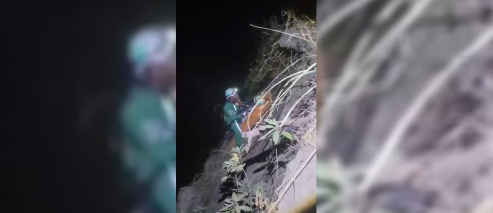 Menor de edad sufre heridas graves al caer a profundo precipicio en Soyapango