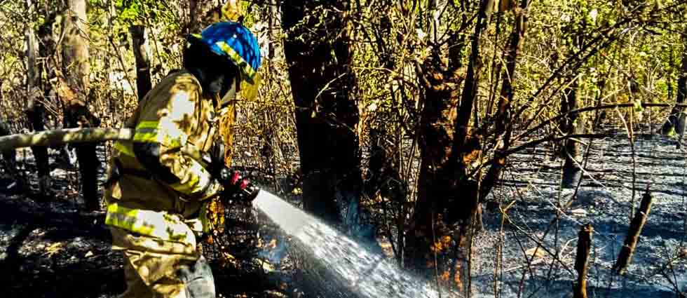 Bomberos sofocan incendio forestal en San Vicente