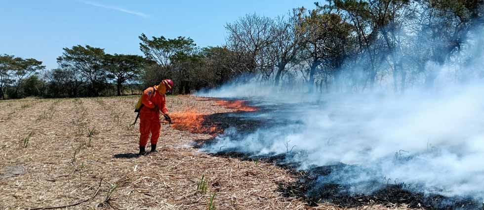 Incendios no cesan en El Salvador: CBES sofoca otro siniestro en vegetación seca en La Paz