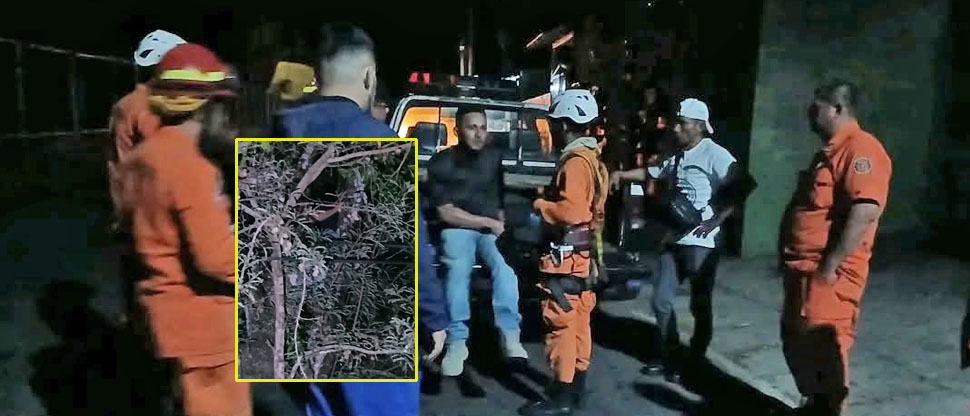 Autoridades evitan tragedia luego que joven intentara lanzarse de un árbol en Chalatenango