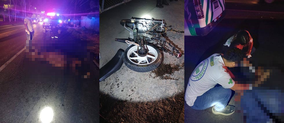 Joven conductor pierde la vida tras impactar contra una vaca en la carretera Panamericana