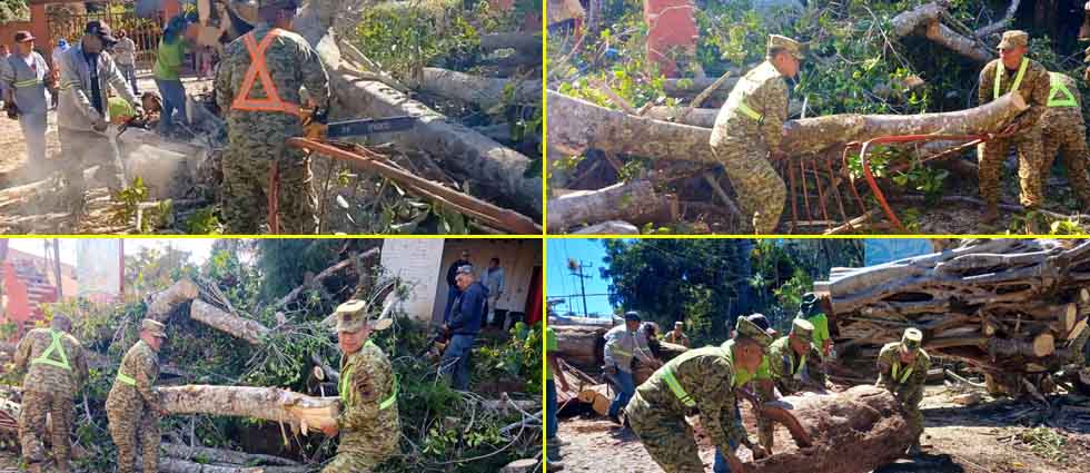 Militares remueven árbol de gran tamaño que cayó y destruyó el muro de una vivienda en Ataco